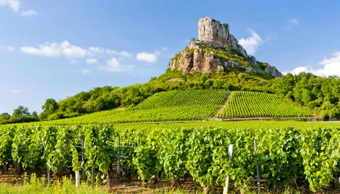 Wijnreizen en wijnvakanties in Frankrijk