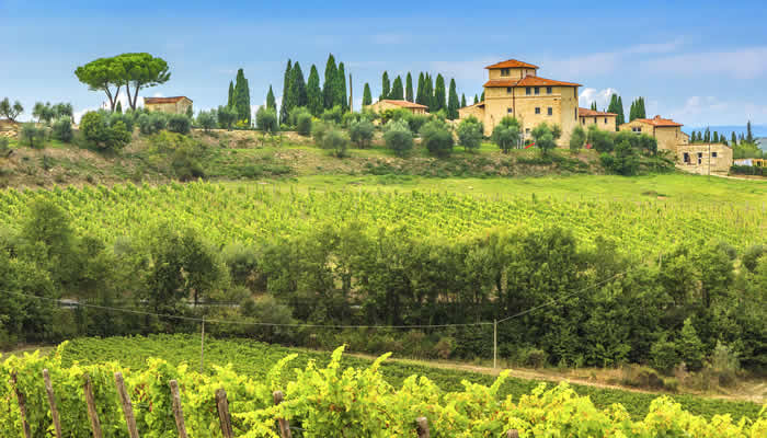 Wijnreizen en wijnvakanties in Italië