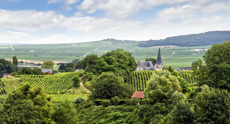 Vakantie in Champagne - Ardenne